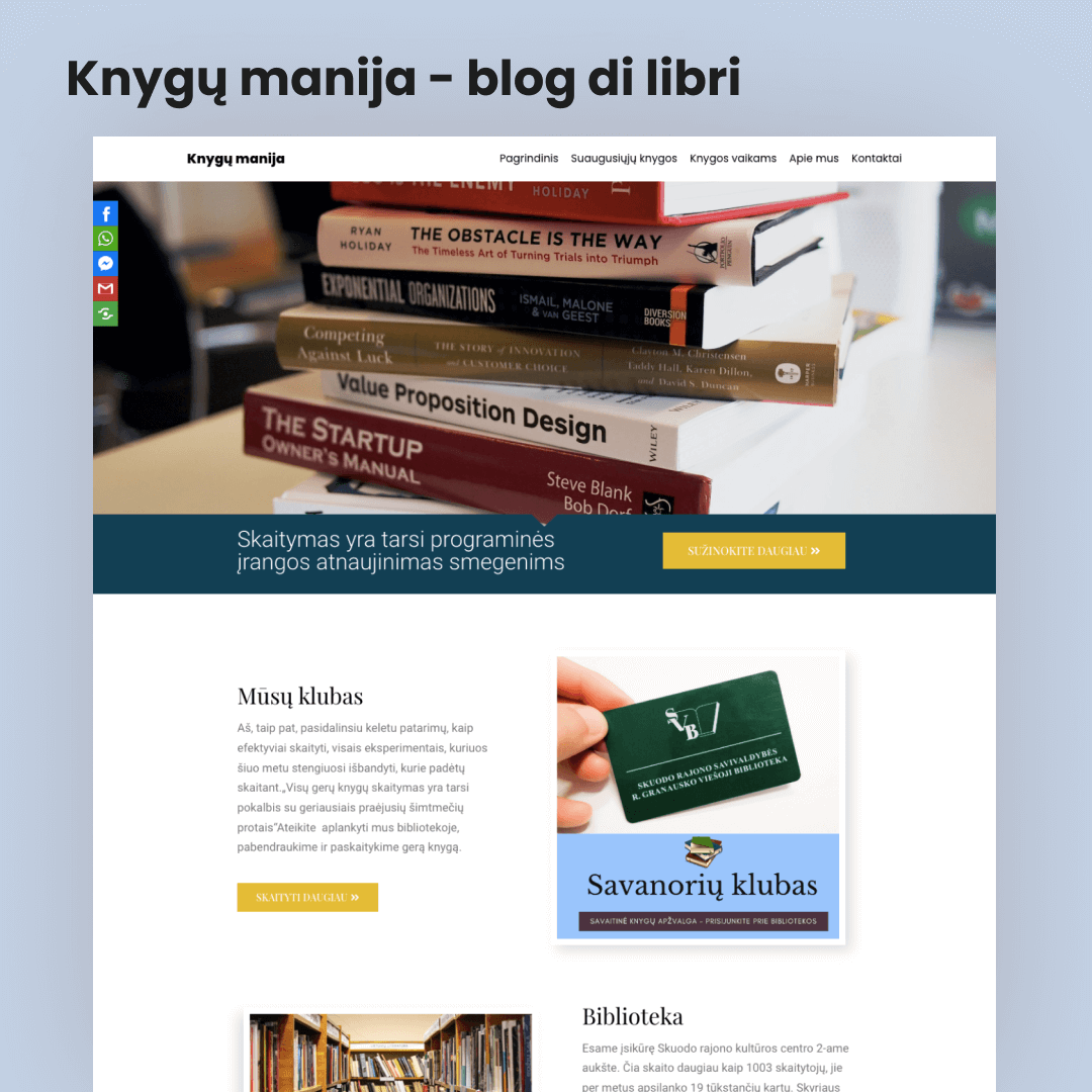 Biblioteca lituania